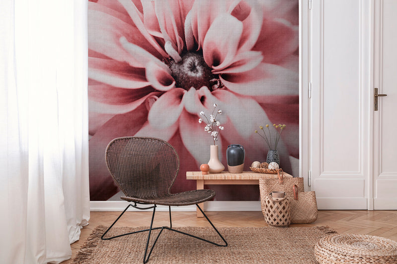 GERBERA THE WALL AMBIENTATO