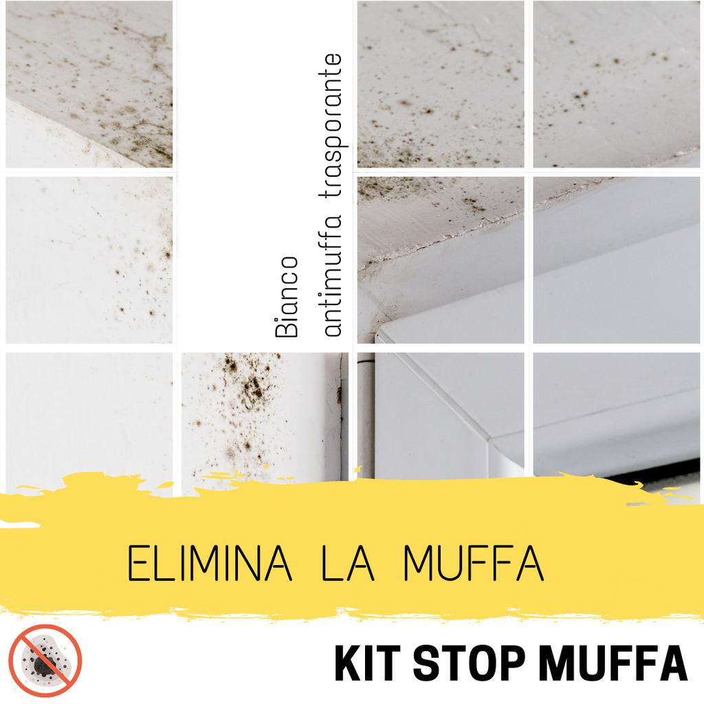 spray antimuffa pareti