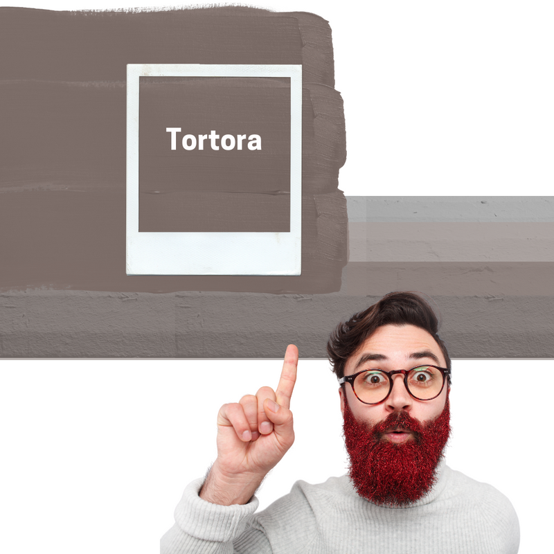 pareti colore tortora