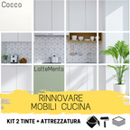 Rinnovare-mobili-cucina-cocco-e-lattementa-ambientato