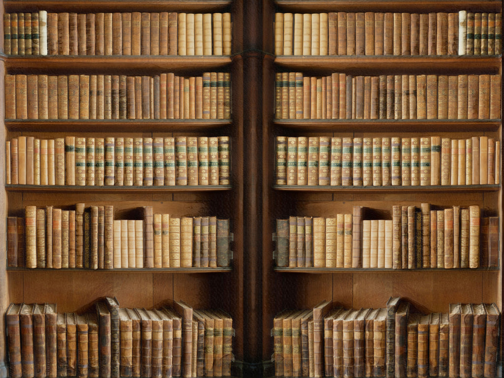 carta-da-parati-antica-libreria-meraviglia-old-library