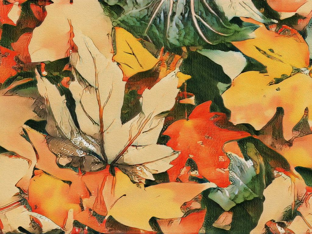 carta-da-parati-autunno-meraviglia-autumn