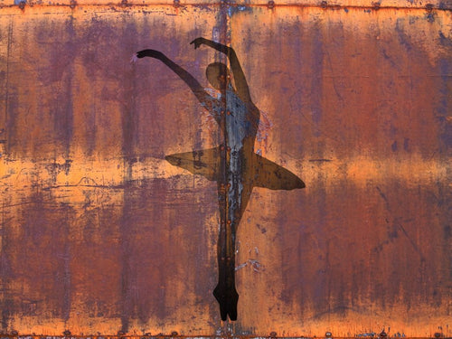 carta-da-parati-ballerina-ossidata-meraviglia-oxide3
