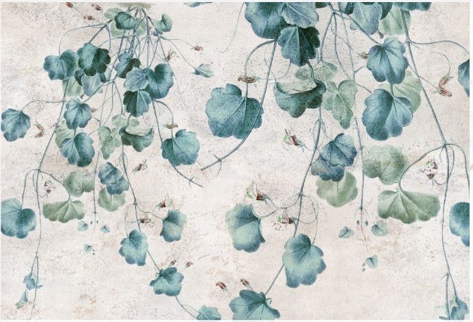 carta da parati edera