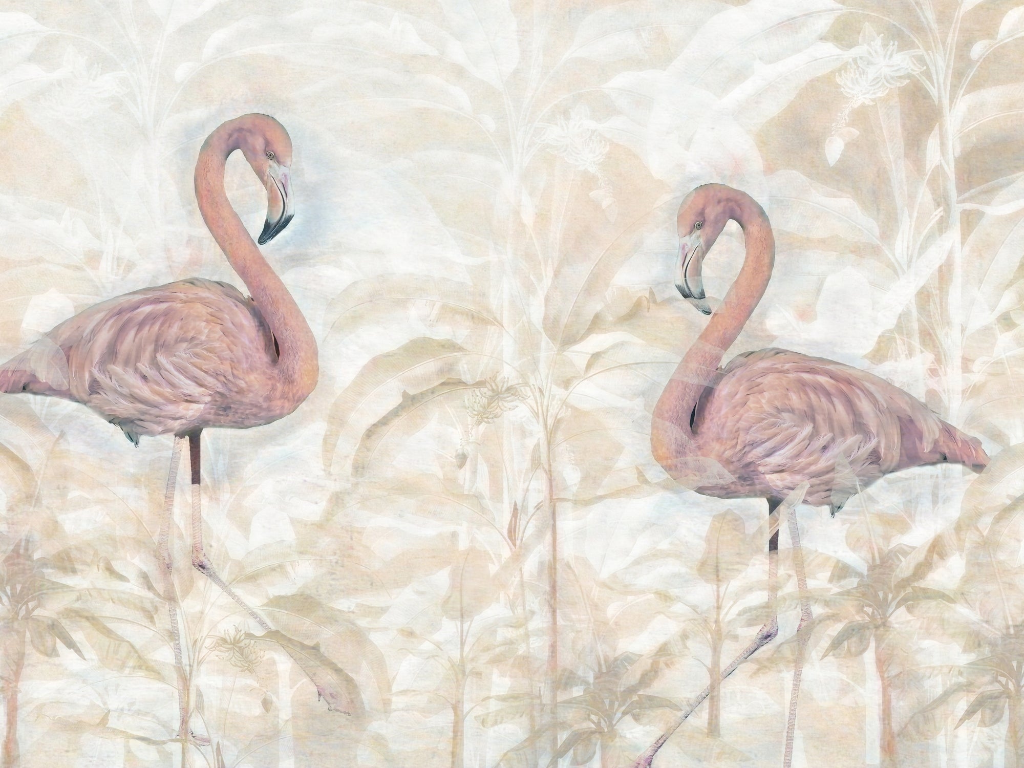 carta-da-parati-fenicotteri-meraviglia-flamingo-in-love