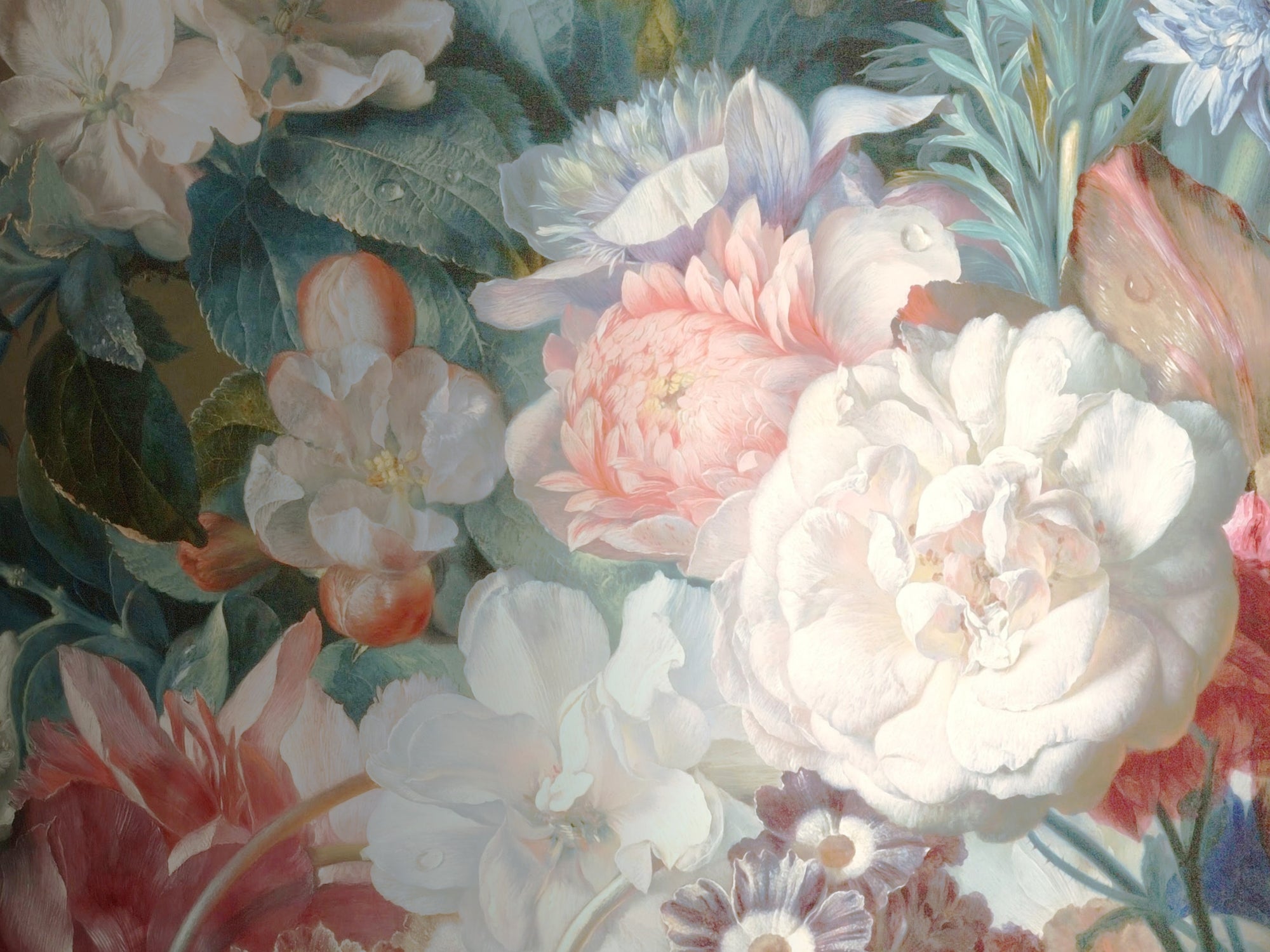 carta-da-parati-fiori-giganti-meraviglia-dream-flowers1