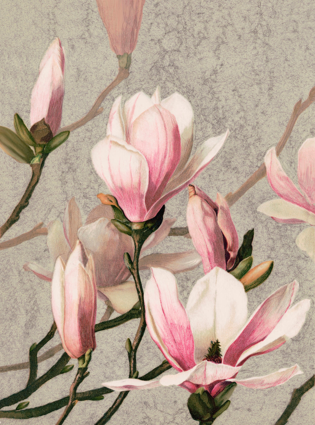 carta-da-parati-fiori-pastello-pastel-flowers