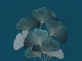 carta-da-parati-foglie-biloba-blue-meraviglia-biloba1
