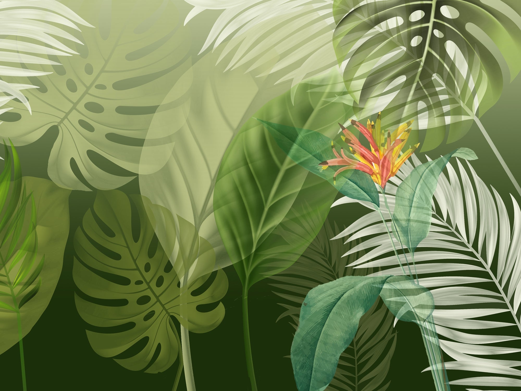 carta-da-parati-foglie-giganti-meraviglia-in-the-leaves