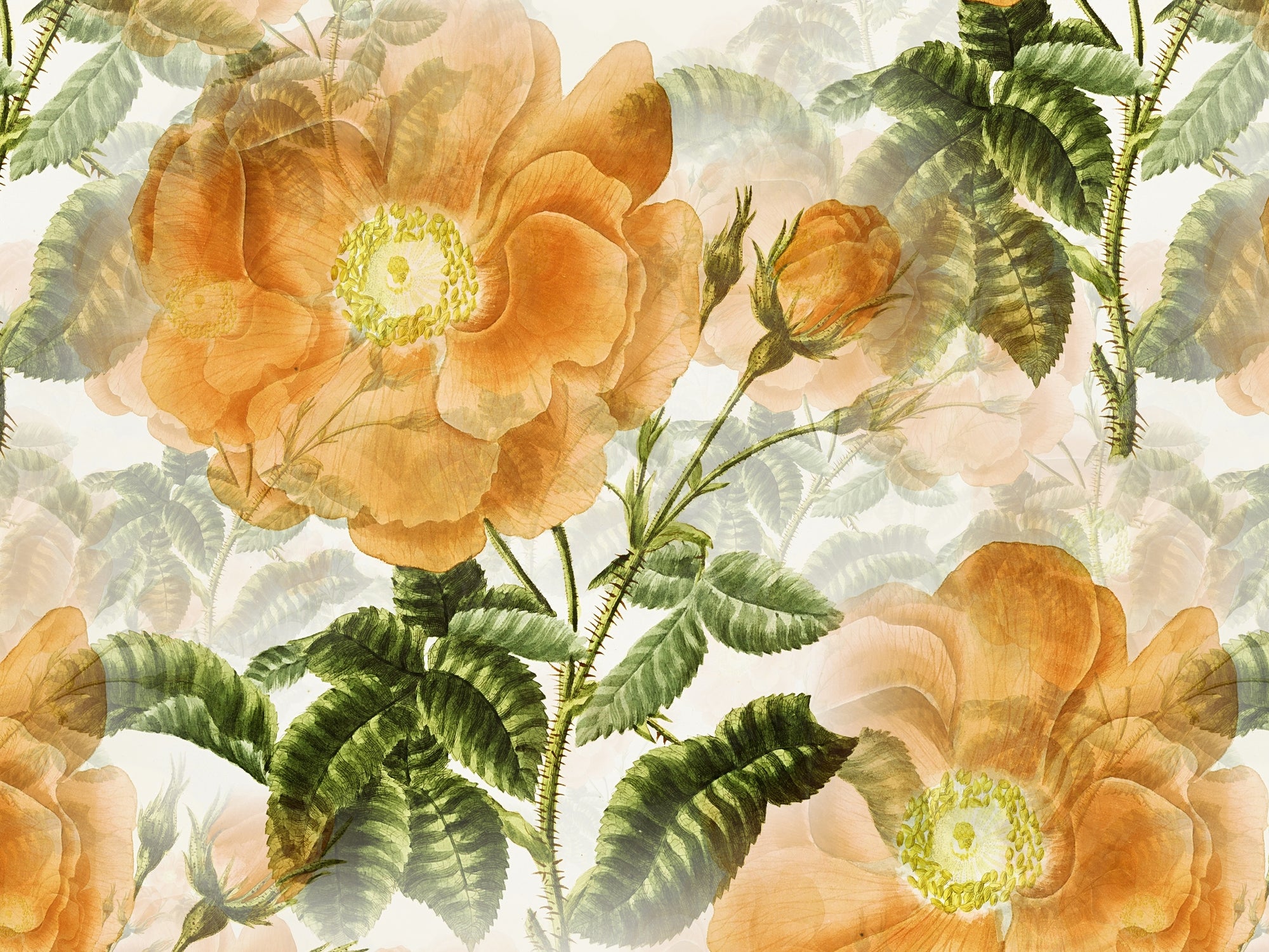 carta-da-parati-fragranza-pomeridiana-meraviglia-afternoon-fragrance1