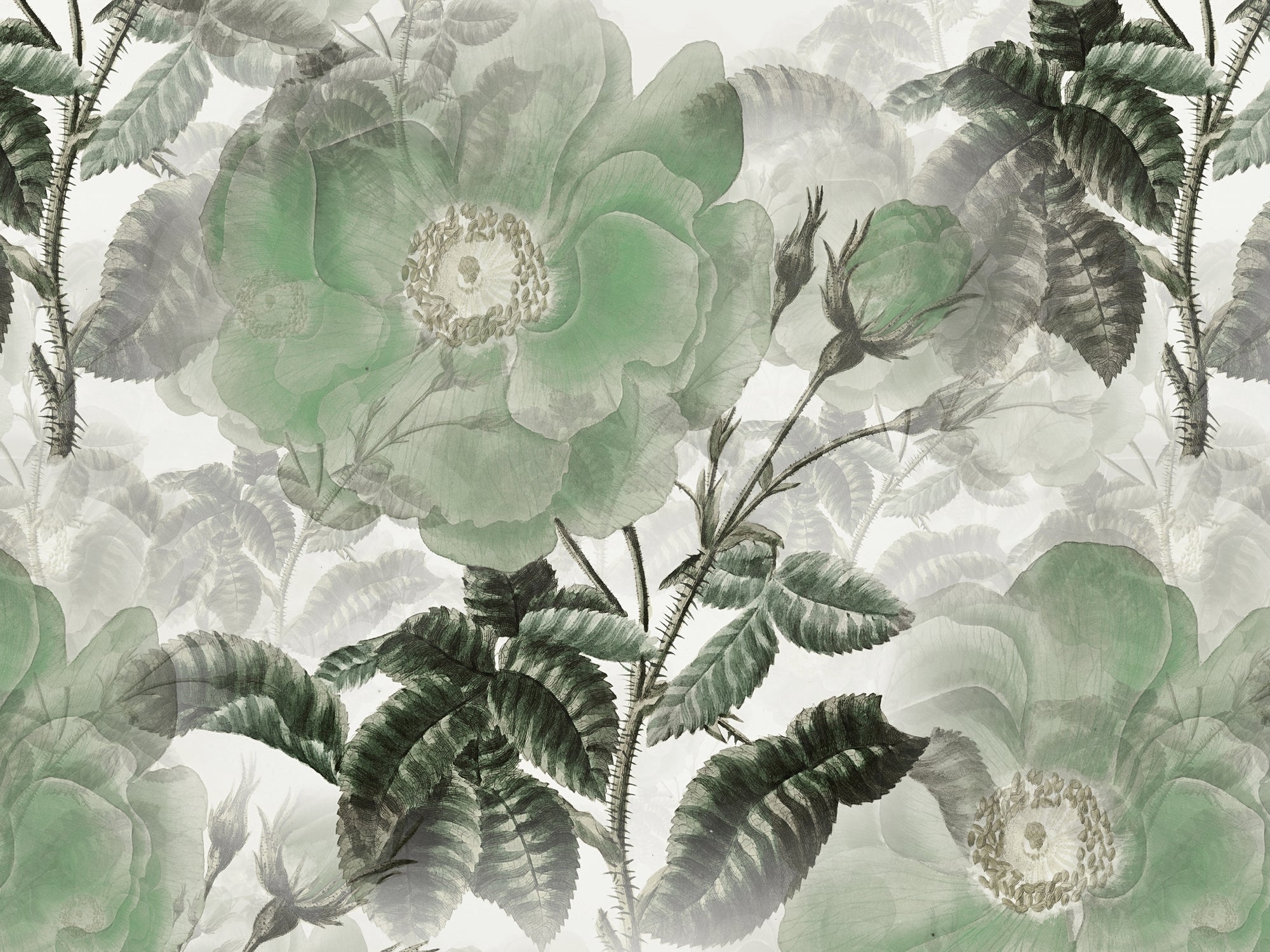 carta-da-parati-fragranza-pomeridiana-meraviglia-afternoon-fragrance2