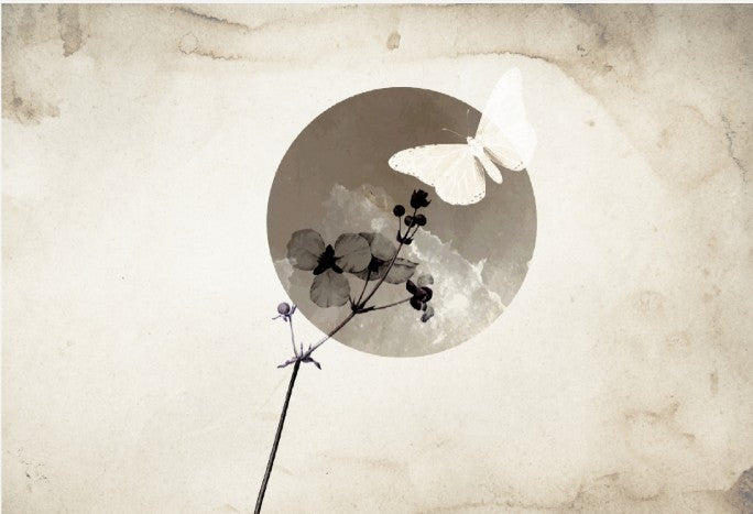 carta-da-parati-moonlight