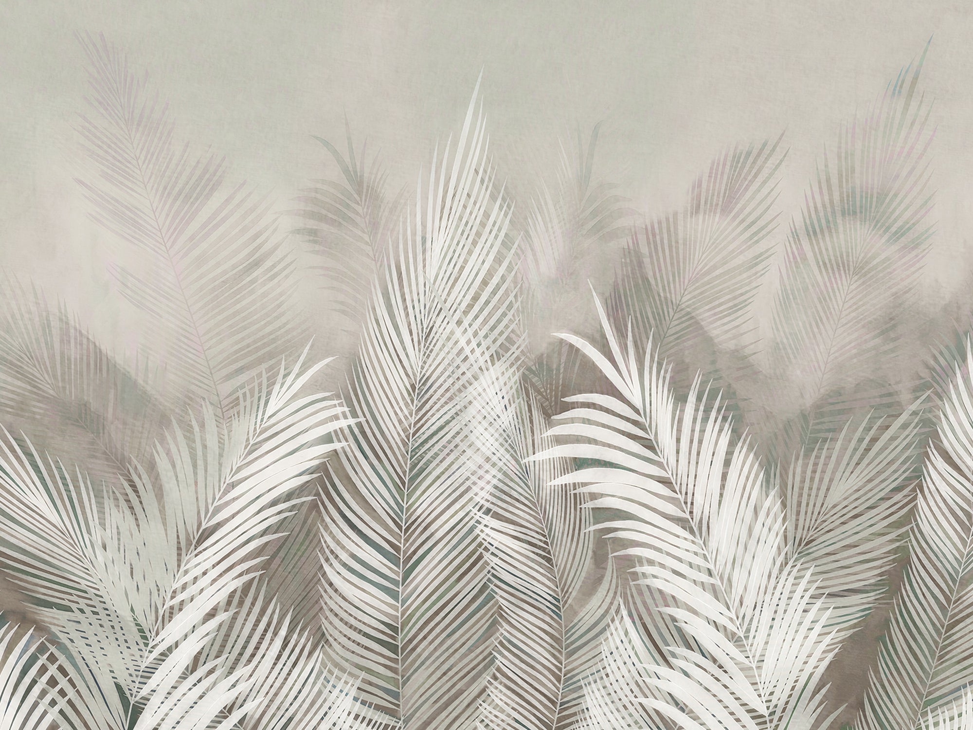 carta-da-parati-palma-bianco-e-nero-meraviglia-soft-palm