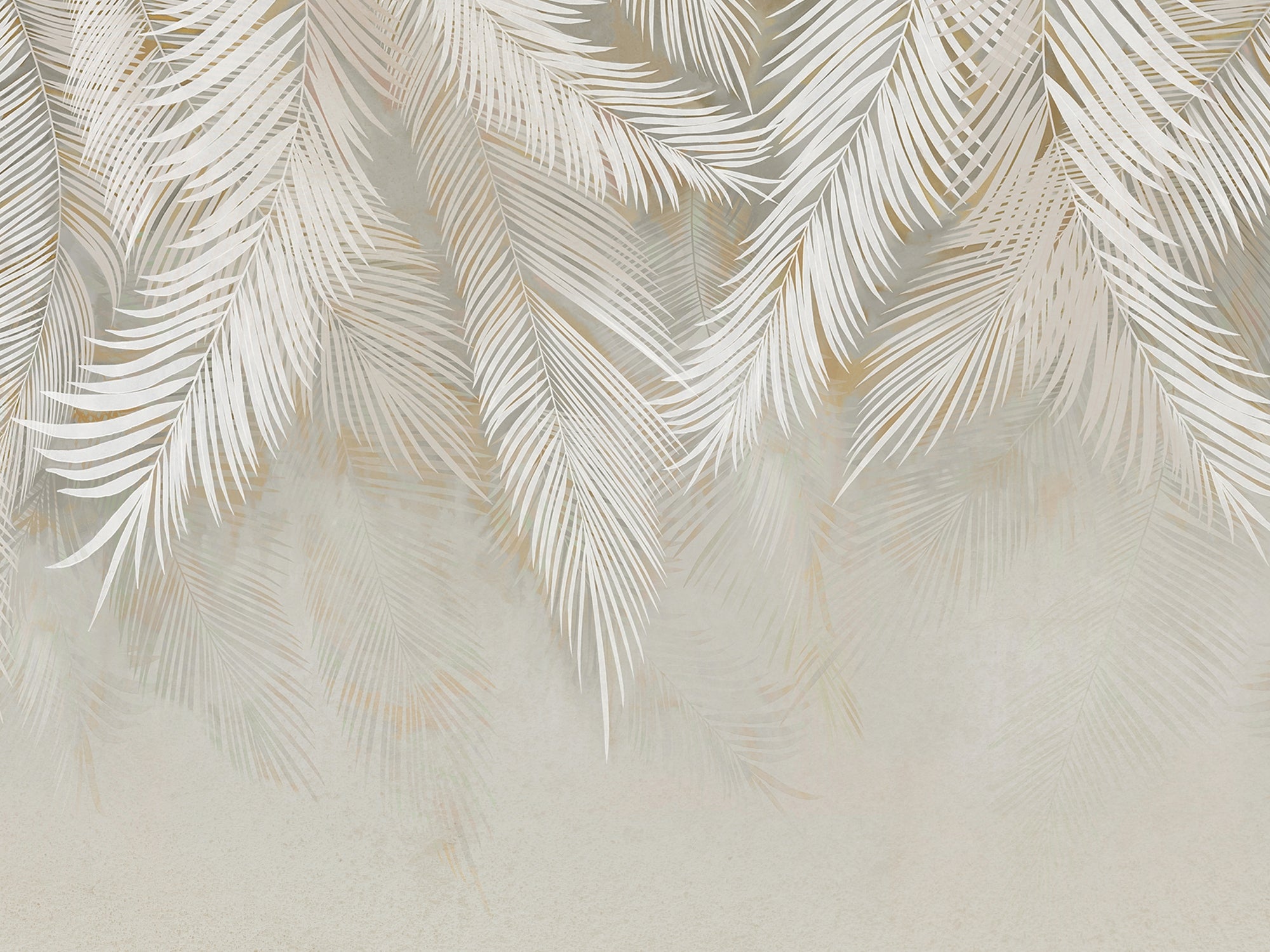 carta-da-parati-palma-piangente-bianca-meraviglia-weeping-palm