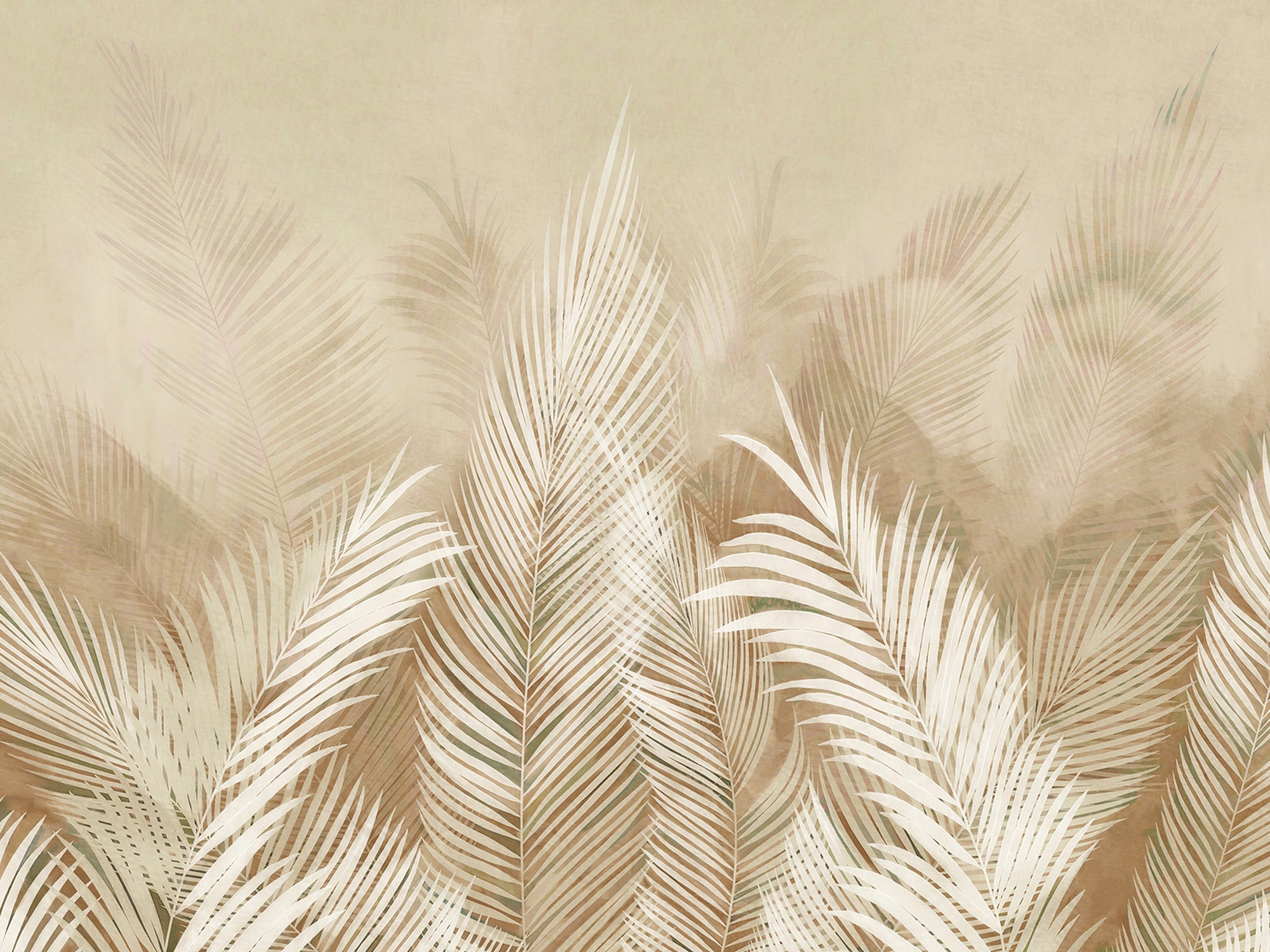 carta-da-parati-palma-torora-meraviglia-soft-palm