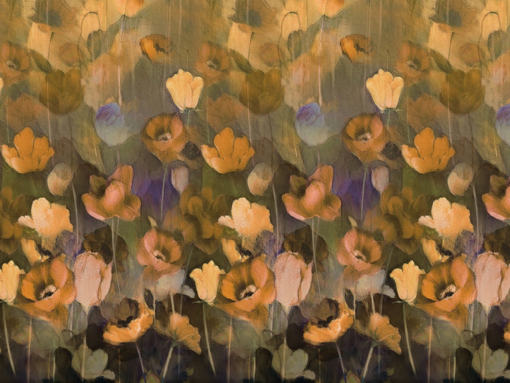 carta-da-parati-papaveri-meraviglia-poppies1