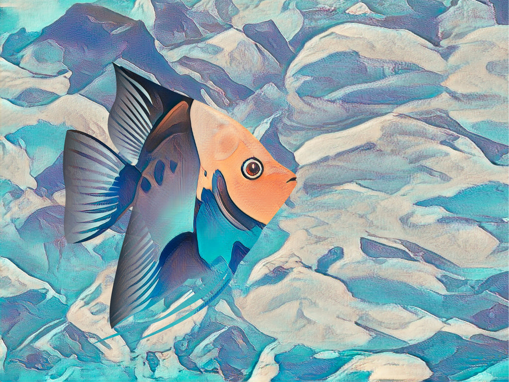 carta-da-parati-pesce-blu-meraviglia-bluefish
