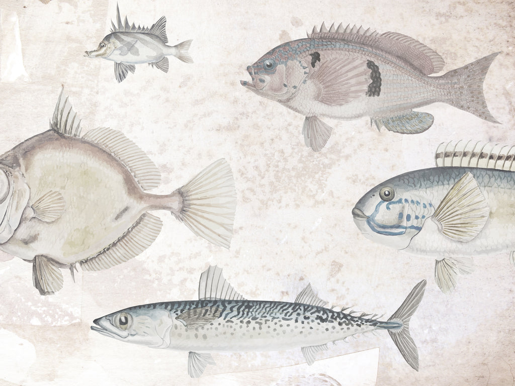 carta-da-parati-pesci-giganti-meraviglia-among-the-fish