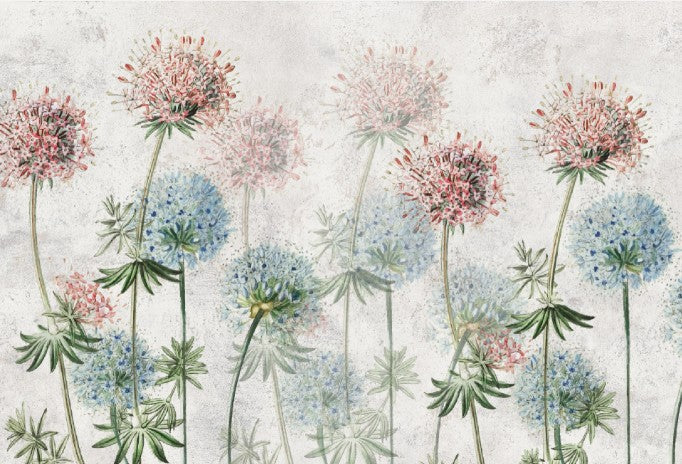 carta da parati soffioni color pastello