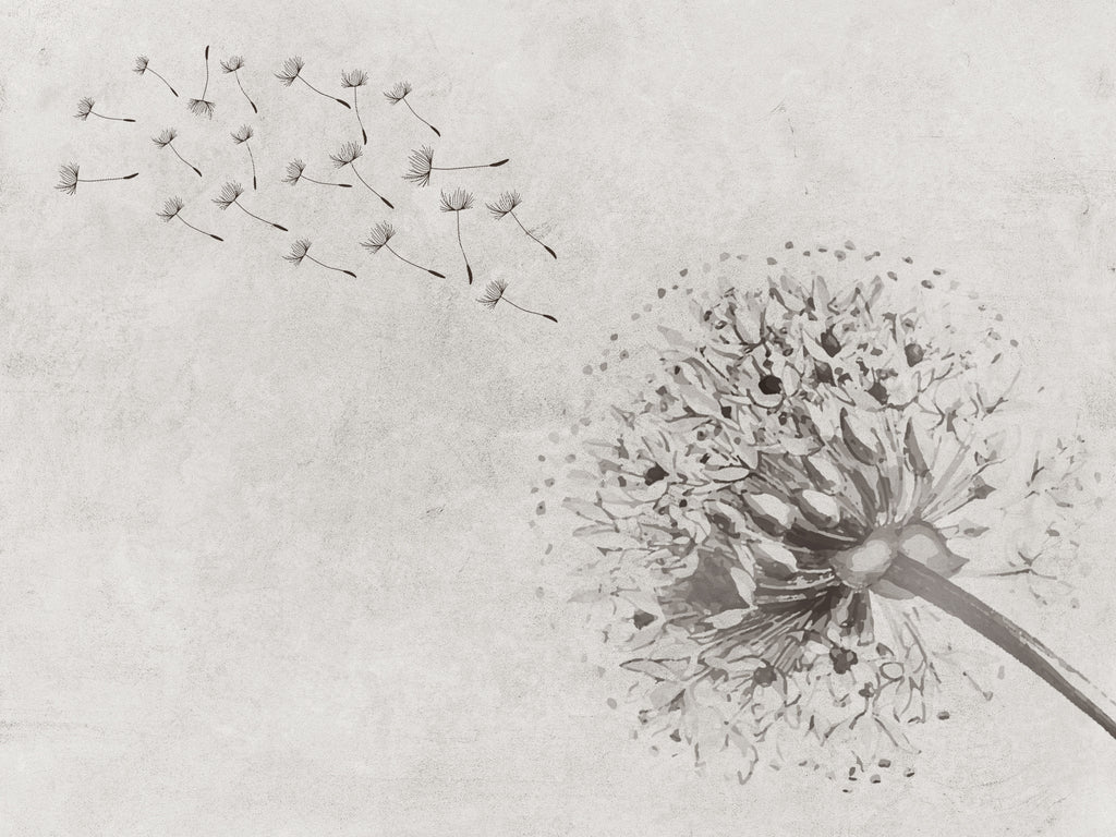 carta-da-parati-soffioni-volanti-meraviglia-flying-dendelion1