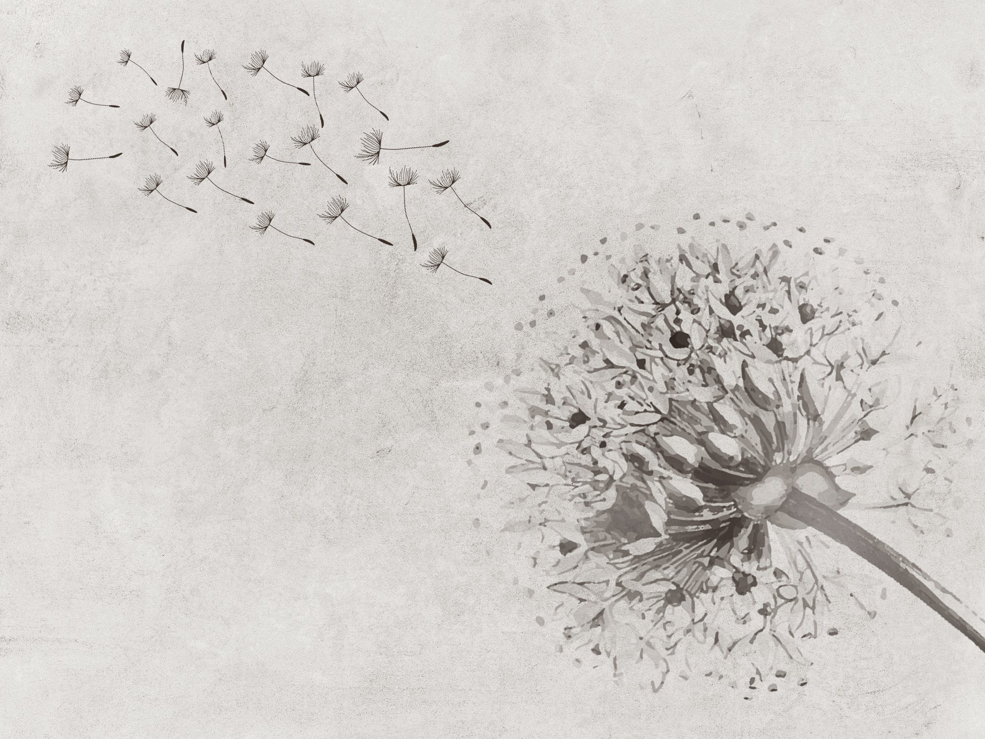 carta-da-parati-soffioni-volanti-meraviglia-flying-dendelion1