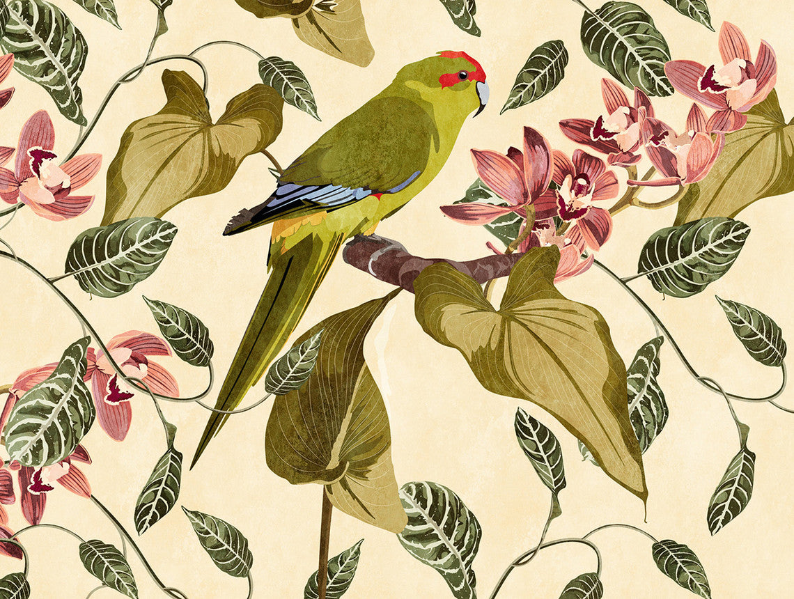 carta-da-parati-uccelli-the-wall-birds3