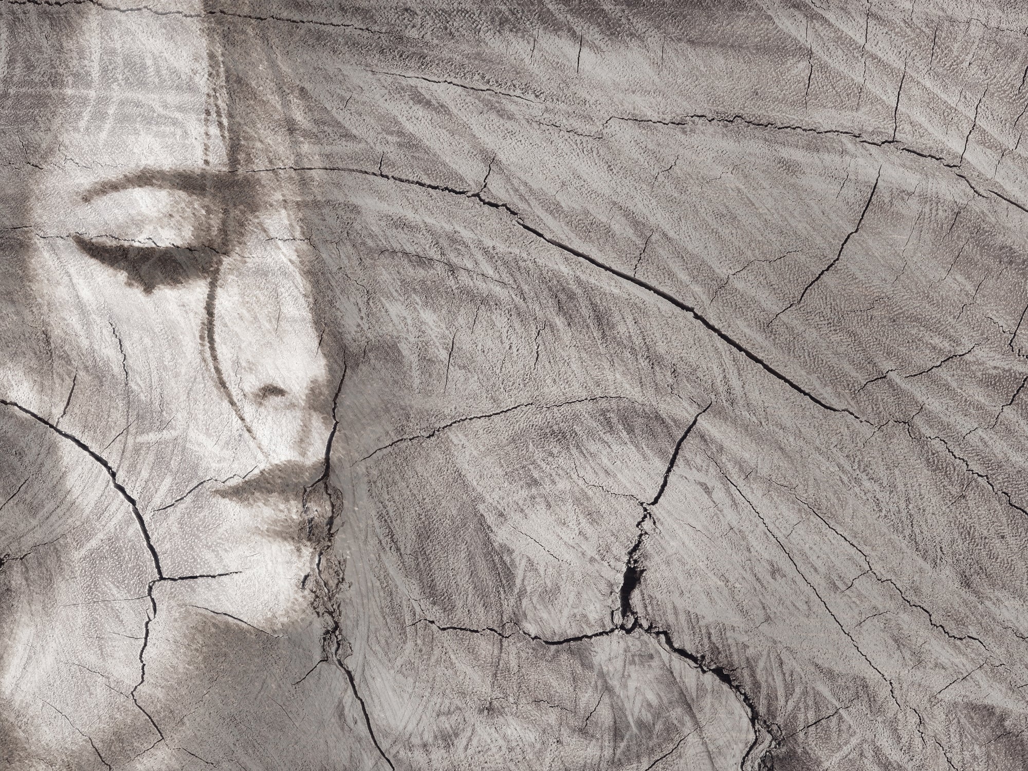 carta-da-parati-volto-trasparenza-legno