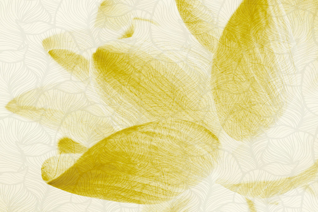 Carta da parati fiore petali